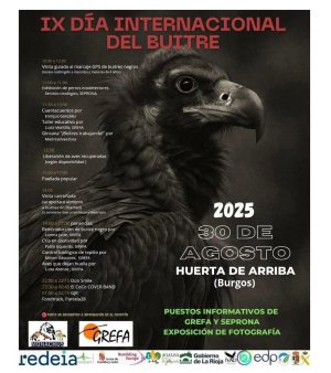 Día Buitre.jpg