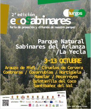 Ecosabinares.jpg