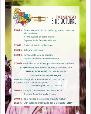 Huerta 4.jpg