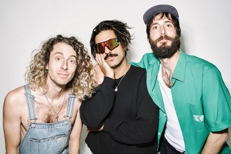 Sexy Zebras.jpg