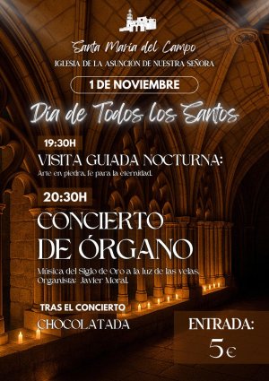Concierto órgano.jpg