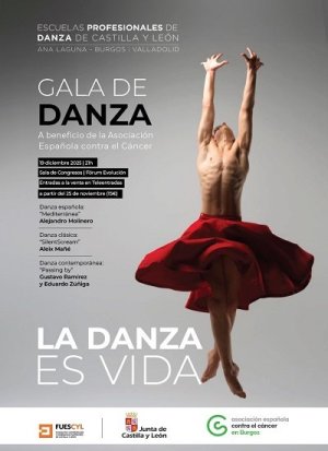 Gala de Danza - La Danza es Vida (Burgos)