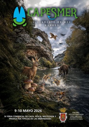 Feria Villarcayo.jpeg